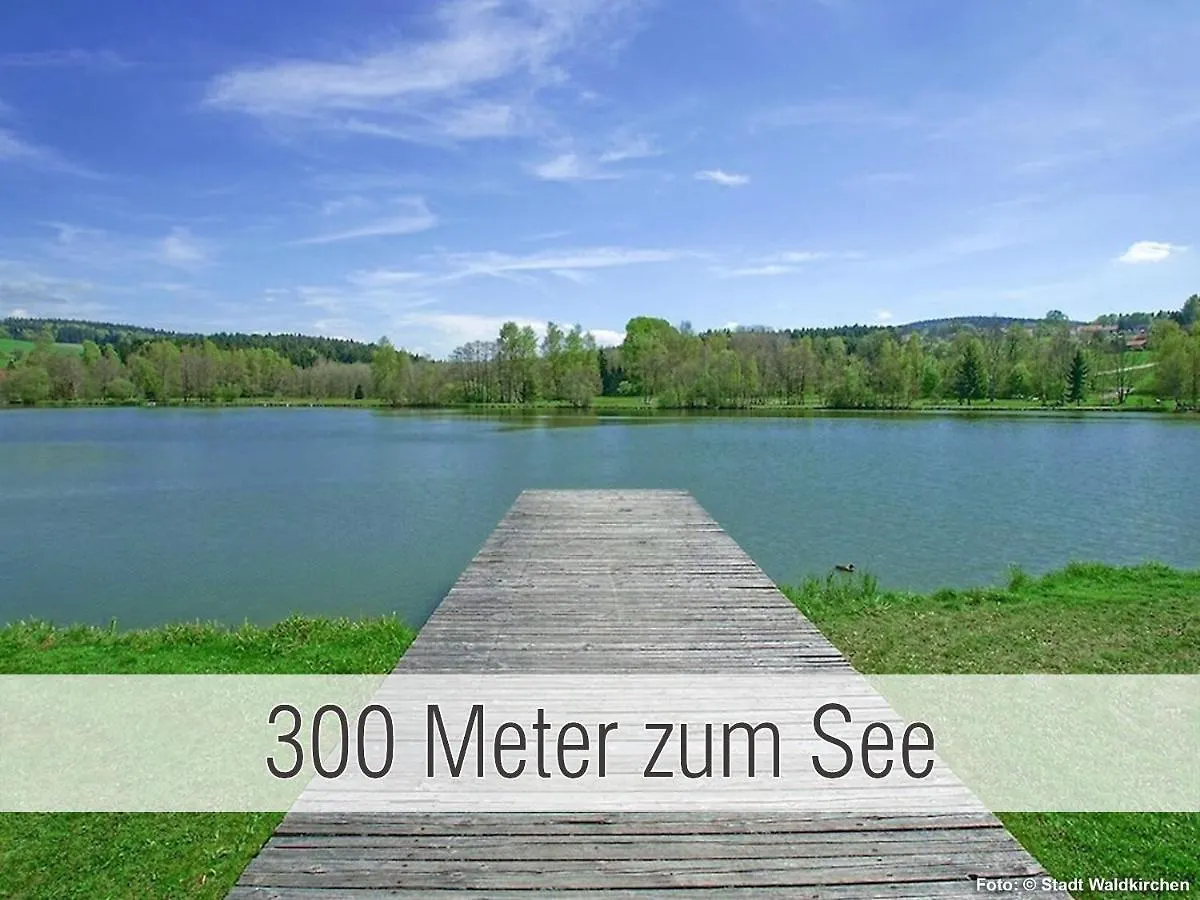 Huette40: Ganze Huette Nah Am See Mit Privatem Whirlpool, Sauna. Umzaeunt. Waldkirchen 0*,
