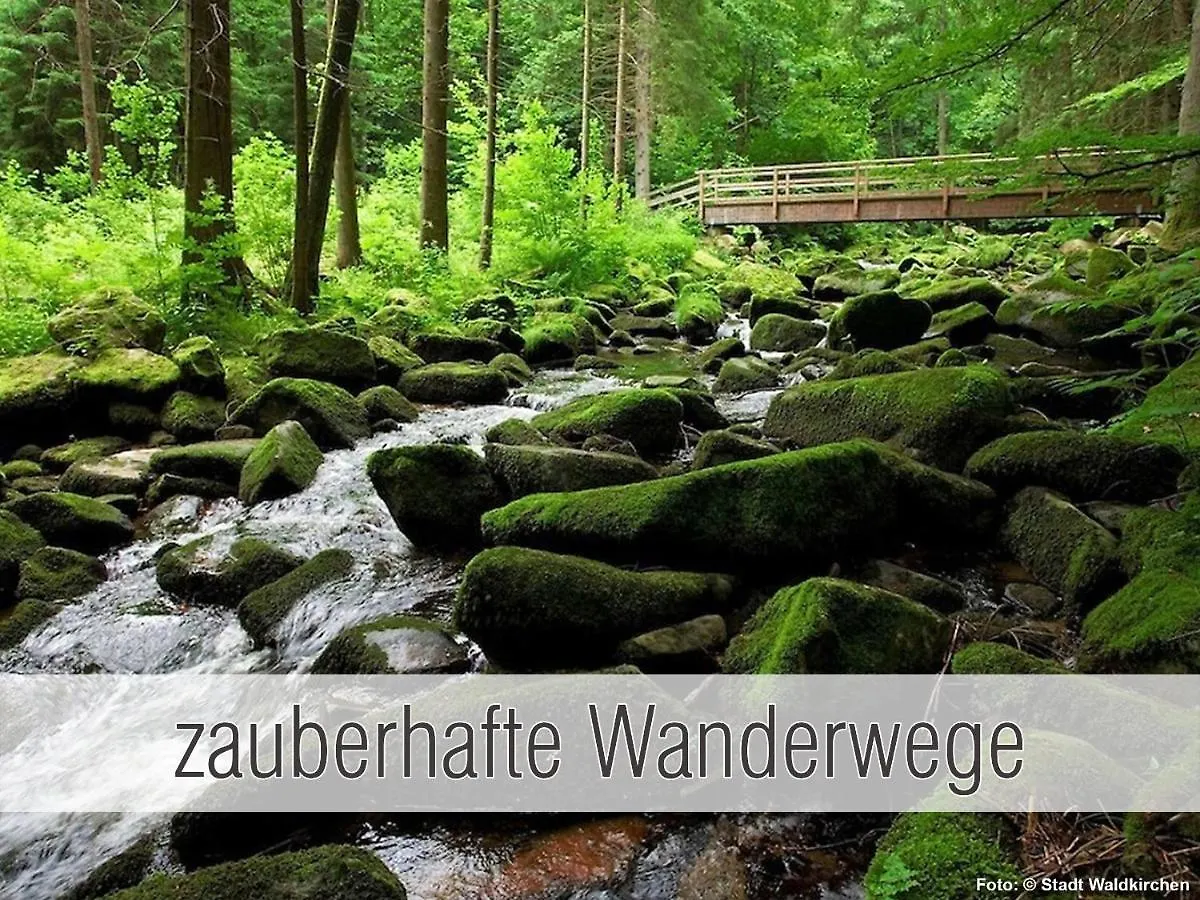 Huette40: Ganze Huette Nah Am See Mit Privatem Whirlpool, Sauna. Umzaeunt. Waldkirchen Holiday home