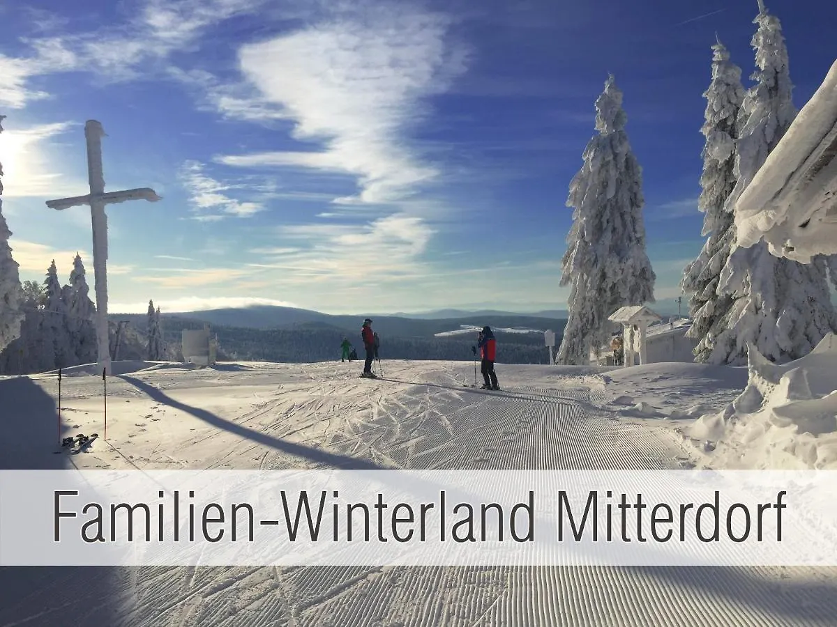 Semesterbostad Huette40: Ganze Huette Nah Am See Mit Privatem Whirlpool, Sauna. Umzaeunt. Waldkirchen